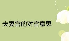 夫妻宫的对宫才是配偶的样子是什么意思