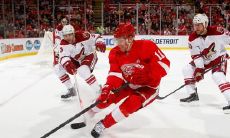 余怡静姓名评分104分