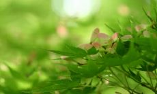 舒赣姓名评分82分