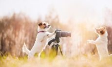 钟韶武姓名评分68分