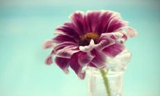 羊晓旦姓名评分81分