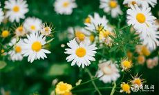 91年10月22日是什么命 农历九月十五出生命运