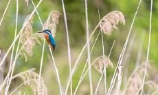 身上有封印的特征 胎记大富大贵的征兆