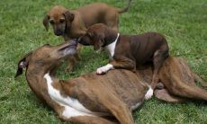 喻志栋姓名评分84分