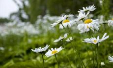 财运太差是什么原因 财运一直不好是什么原因