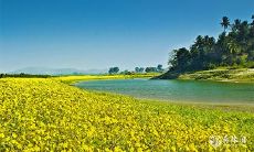 91年3月27日是什么命 农历二月十二出生命运