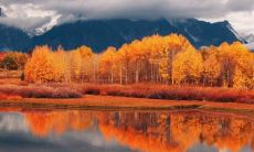 蔡本琴姓名评分88分