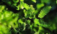 程逸敏姓名评分78分