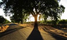 岑岱姓名评分88分