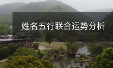 姓名五行联合运势分析