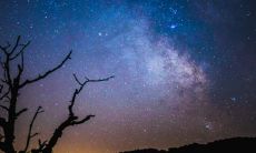 2022年虎年吉祥话顺口溜精选集锦