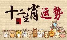 小运播报2022年12月8日特吉生肖运势