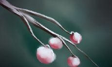 什么样的爱情你会果断拒绝?