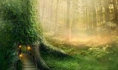 2022年运势很好或很差的星座都有谁