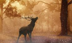 2022年新年简短祝福语精选推荐