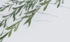 2023年4月开业吉日查询 2023年4月哪天适合开业