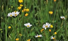 91年3月21日是什么命 农历二月初六出生命运