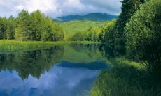 黄雨生姓名评分86分