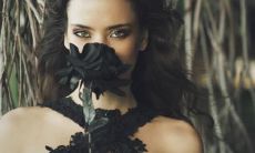 邢李卫姓名评分88分