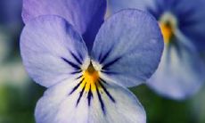 邢广阔姓名评分80分