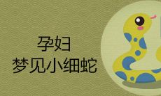 孕妇梦见小细蛇是什么征兆