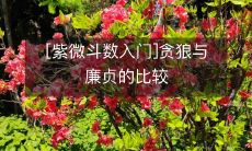 [紫微斗数入门]贪狼与廉贞的比较