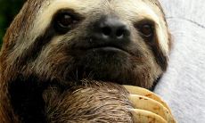 荀蓓莉姓名评分81分