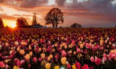 宣智豪姓名评分97分