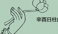 辛酉日柱的男命能嫁不 性格及命运分析