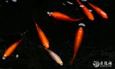 2003房号吉利吗 客厅挂什么招财