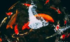 1804房号的房子能要吗 1804房号吉凶解析