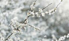 91年10月13日是什么命 农历九月初六出命运