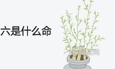 农历三月二十六是什么命好不好