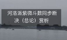 河洛派紫微斗数同步断决（总论）赏析