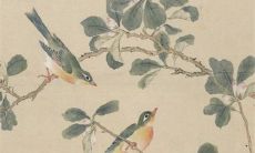 2023年3月31日出生的女孩命好吗，属兔男孩八字命格