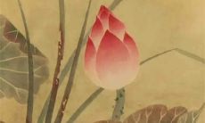 2023年清明节出生好吗 清明节出生的人是神仙吗