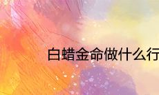白蜡金命做什么行业比较旺