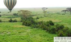 小腿胎记长在哪里最好解析