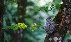 91年3月15日是什么命 农历正月二十九出生命运