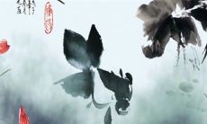 八字解析：2023年4月2日出生的宝宝是什么命，五行缺什么