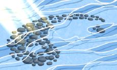 喜欢哪双鞋？这居然能看出你是什么女生