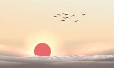 你是不是适合生鸡宝宝