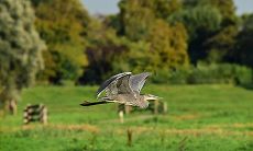 人犯了我我就会犯人甚至会加倍还回去的星座