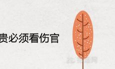 为什么大富贵必须看伤官