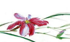 2023年4月2日出生的女宝宝命运好吗，男孩八字命运查询