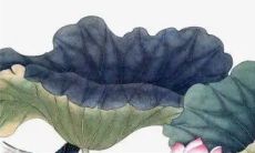 生辰八字解析：2023年4月5日清明节出生的宝宝是什么命，五行缺什么