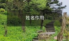 姓名作用