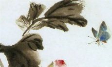 八字解析：2023年3月31日出生的宝宝是什么命，五行缺什么