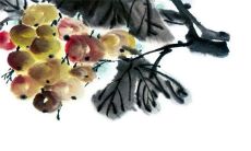 2023年4月3日出生的女孩命运如何，男孩五行缺什么