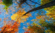 2023年适合怀孕的生肖 属兔人备孕成功